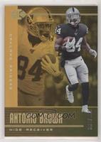 Antonio Brown #/399