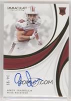 Rookie Autographs - Andy Isabella #/99