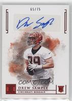 Rookie Autographs - Drew Sample #/75