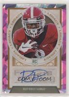 Rookies - Riley Ridley #/10