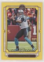 Cam Newton #/165