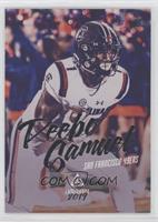 Rookie - Deebo Samuel