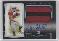 Rookie Patch Autographs - Andy Isabella [EX to NM] #/20