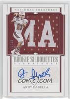 Rookie Silhouettes Signatures - Andy Isabella #/10