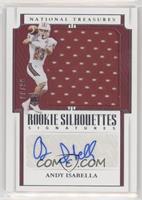 Rookie Silhouettes Signatures - Andy Isabella #/99