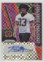 Rodney Anderson #/49