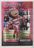 Mascots - Brutus Buckeye