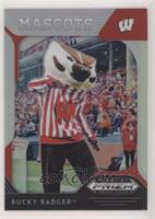 Mascots - Bucky Badger