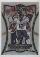 Premier Level - Allen Robinson II