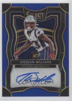 Joejuan Williams #/99