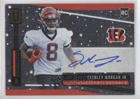 Rookie - Stanley Morgan Jr.