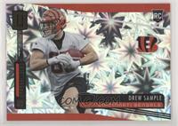 Rookie - Drew Sample #/75