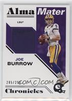 Joe Burrow #/299