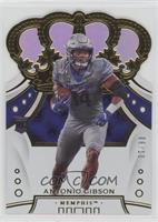 Antonio Gibson #/10