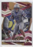 Rookies - Antonio Gibson #/24