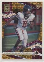 Rookies - Antonio Gandy-Golden #/49