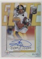 Hines Ward #5/49