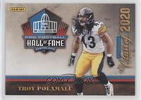 Troy Polamalu