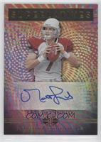 Matt Leinart #/99