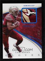 Cam Akers [Noted] #/56