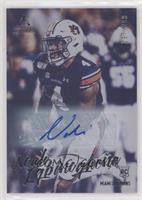 Rookies - Noah Igbinoghene #/299