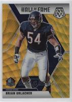 Hall of Fame - Brian Urlacher #/17