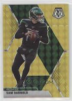 Sam Darnold #/20