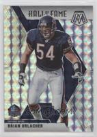 Hall of Fame - Brian Urlacher