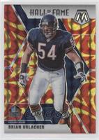 Hall of Fame - Brian Urlacher