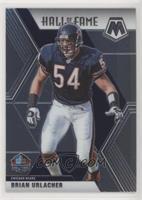 Hall of Fame - Brian Urlacher