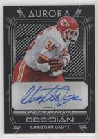 Christian Okoye #/100