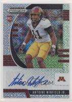 Draft Picks Rookies - Antoine Winfield Jr. #/49