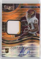 Antonio Gibson #/25