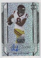 Amon-Ra St. Brown #/30