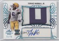 Terrace Marshall Jr. #/75