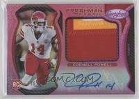 Freshman Fabric Mirror Signatures - Cornell Powell #/299