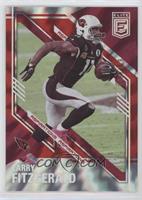 Larry Fitzgerald #/499