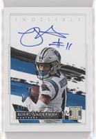 Robby Anderson #/25