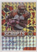 Chad Johnson #/25