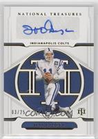 Jeff George #/25