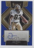 Joe Horn #/75