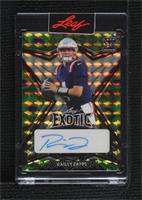 Bailey Zappe [Uncirculated] #/6