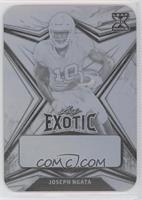 Joseph Ngata #/1