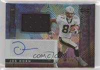 Joe Horn #/75