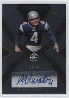 Adam Vinatieri #/49