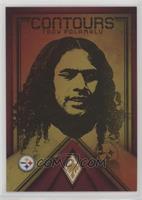 Troy Polamalu #/199