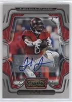 Julio Jones #/20