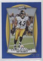 Troy Polamalu #/25