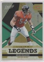 Brian Urlacher #/249