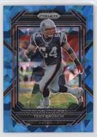 Tedy Bruschi #/99